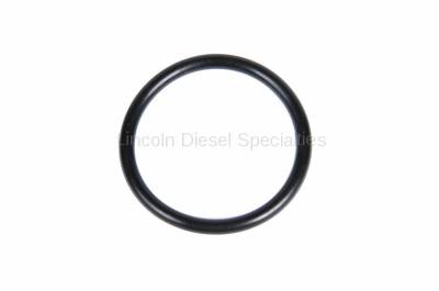 GM - GM OEM Oil Fill Tube O-ring (2001-2016)