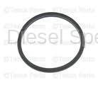 GM - GM OEM Thermo Sensor Seal (2004.5-2010)