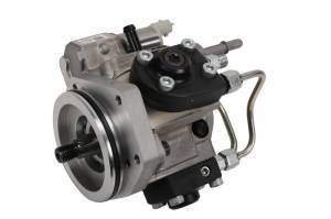 Fuel Injection Pumps