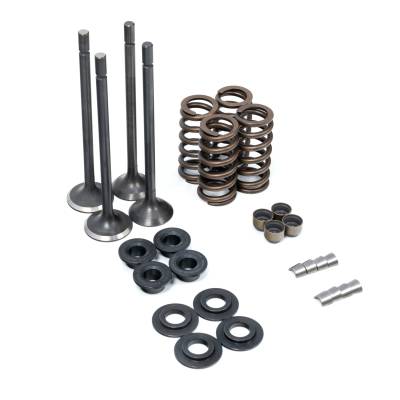 Pacific Performance Engineering - PPE Performance Duramax Valve and Spring Kit (2001-2016) - Image 2