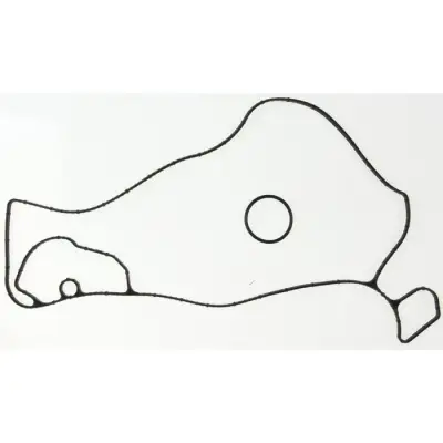MAHLE Water Pump Gasket Ford 6.7L Powerstroke (2011-2019)