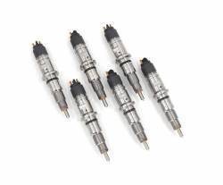 6.7L LDS Reman Fuel Injectors 200% Over (2013-2018)